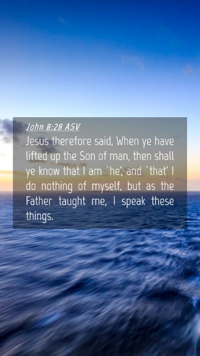 Picture 04 - John 8:28 ASV Mobile Phone Wallpaper - Jesus therefore said, When ye have lifted up the - Mobile Bible Verse Wallpaper