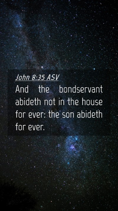 Picture 04 - John 8:35 ASV Mobile Phone Wallpaper - And the bondservant abideth not in the house for - Mobile Bible Verse Wallpaper