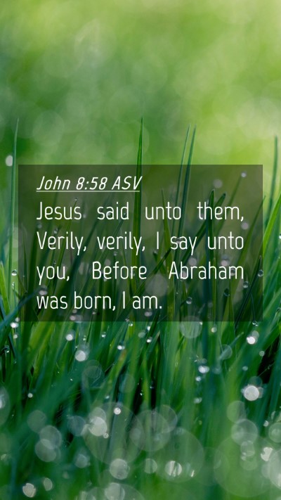 Picture 04 - John 8:58 ASV Mobile Phone Wallpaper - Jesus said unto them, Verily, verily, I say unto - Mobile Bible Verse Wallpaper