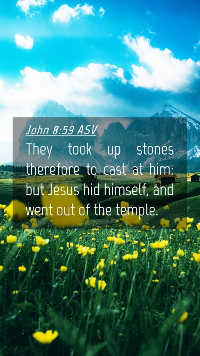 Picture 04 - John 8:59 ASV Mobile Phone Wallpaper - They took up stones therefore to cast at him: but - Mobile Bible Verse Wallpaper