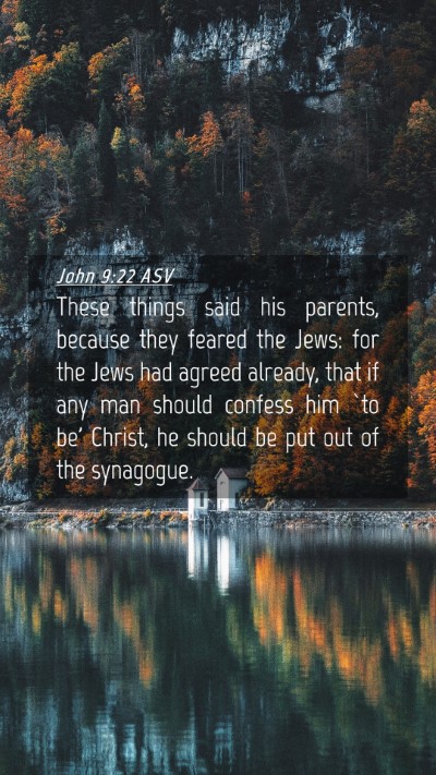 Picture 04 - John 9:22 ASV Mobile Phone Wallpaper - These things said his parents, because they - Mobile Bible Verse Wallpaper