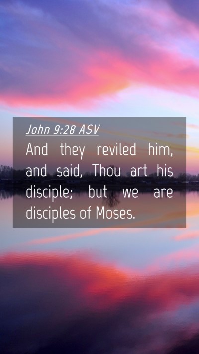 Picture 04 - John 9:28 ASV Mobile Phone Wallpaper - And they reviled him, and said, Thou art his - Mobile Bible Verse Wallpaper