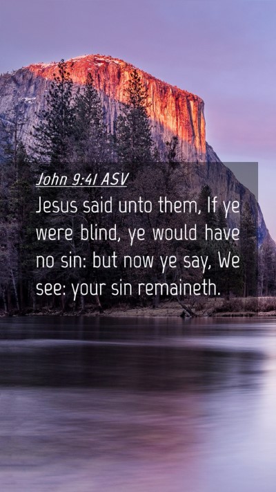 Picture 04 - John 9:41 ASV Mobile Phone Wallpaper - Jesus said unto them, If ye were blind, ye would - Mobile Bible Verse Wallpaper