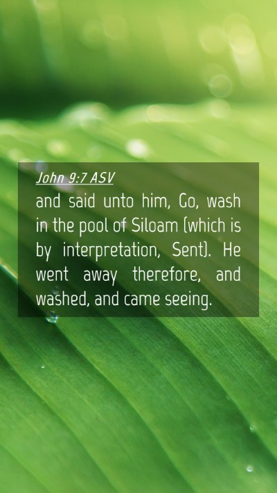 Picture 04 - John 9:7 ASV Mobile Phone Wallpaper - and said unto him, Go, wash in the pool of Siloam - Mobile Bible Verse Wallpaper