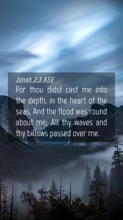 Picture 04 - Jonah 2:3 ASV Mobile Phone Wallpaper - For thou didst cast me into the depth, in the - Mobile Bible Verse Wallpaper