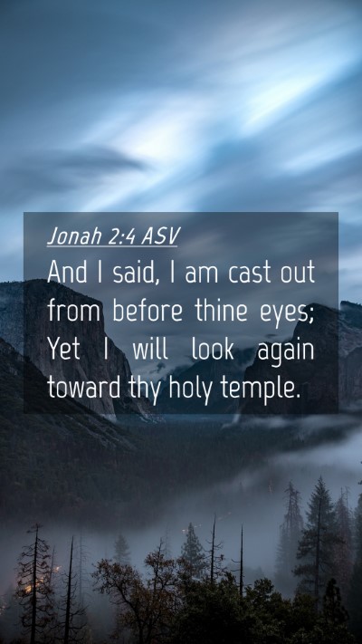 Picture 04 - Jonah 2:4 ASV Mobile Phone Wallpaper - And I said, I am cast out from before thine eyes; - Mobile Bible Verse Wallpaper