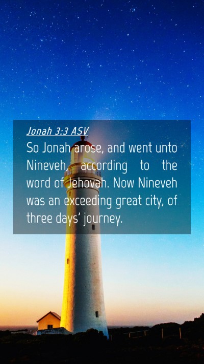 Picture 04 - Jonah 3:3 ASV Mobile Phone Wallpaper - So Jonah arose, and went unto Nineveh, according - Mobile Bible Verse Wallpaper