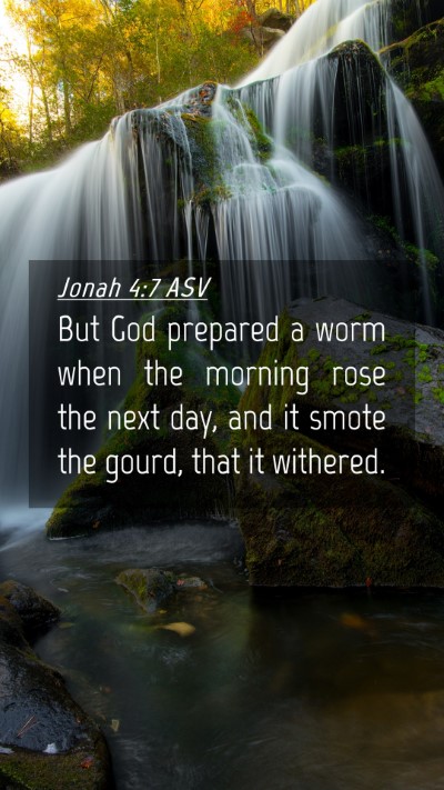 Picture 04 - Jonah 4:7 ASV Mobile Phone Wallpaper - But God prepared a worm when the morning rose the - Mobile Bible Verse Wallpaper