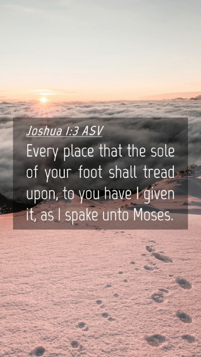 Picture 04 - Joshua 1:3 ASV Mobile Phone Wallpaper - Every place that the sole of your foot shall - Mobile Bible Verse Wallpaper