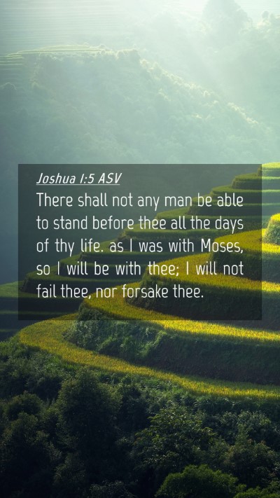 Picture 04 - Joshua 1:5 ASV Mobile Phone Wallpaper - There shall not any man be able to stand before - Mobile Bible Verse Wallpaper