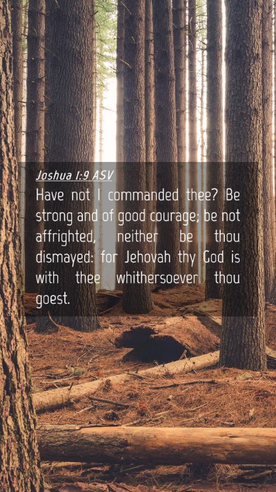 Picture 04 - Joshua 1:9 ASV Mobile Phone Wallpaper - Have not I commanded thee? Be strong and of good - Mobile Bible Verse Wallpaper