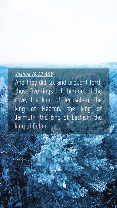Picture 04 - Joshua 10:23 ASV Mobile Phone Wallpaper - And they did so, and brought forth those five - Mobile Bible Verse Wallpaper