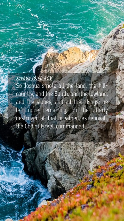 Picture 04 - Joshua 10:40 ASV Mobile Phone Wallpaper - So Joshua smote all the land, the hill-country, - Mobile Bible Verse Wallpaper