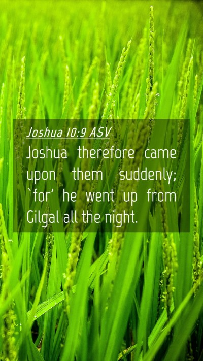 Picture 04 - Joshua 10:9 ASV Mobile Phone Wallpaper - Joshua therefore came upon them suddenly; `for' - Mobile Bible Verse Wallpaper