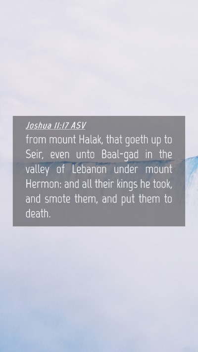 Picture 04 - Joshua 11:17 ASV Mobile Phone Wallpaper - from mount Halak, that goeth up to Seir, even - Mobile Bible Verse Wallpaper
