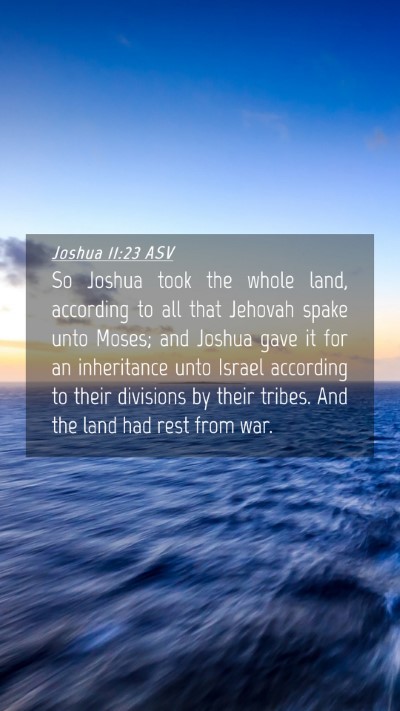 Picture 04 - Joshua 11:23 ASV Mobile Phone Wallpaper - So Joshua took the whole land, according to all - Mobile Bible Verse Wallpaper