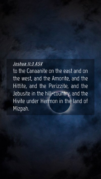 Picture 04 - Joshua 11:3 ASV Mobile Phone Wallpaper - to the Canaanite on the east and on the west, and - Mobile Bible Verse Wallpaper