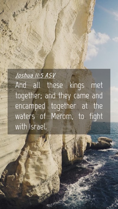 Picture 04 - Joshua 11:5 ASV Mobile Phone Wallpaper - And all these kings met together; and they came - Mobile Bible Verse Wallpaper