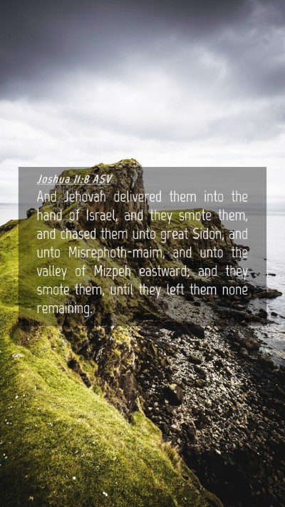 Picture 04 - Joshua 11:8 ASV Mobile Phone Wallpaper - And Jehovah delivered them into the hand of - Mobile Bible Verse Wallpaper