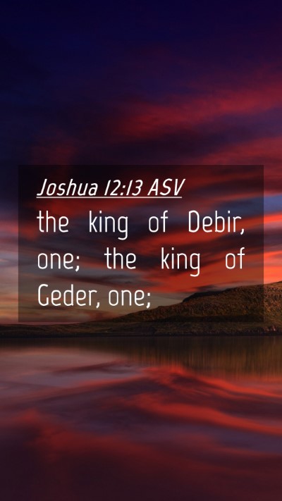 Picture 04 - Joshua 12:13 ASV Mobile Phone Wallpaper - the king of Debir, one; the king of Geder, - Mobile Bible Verse Wallpaper