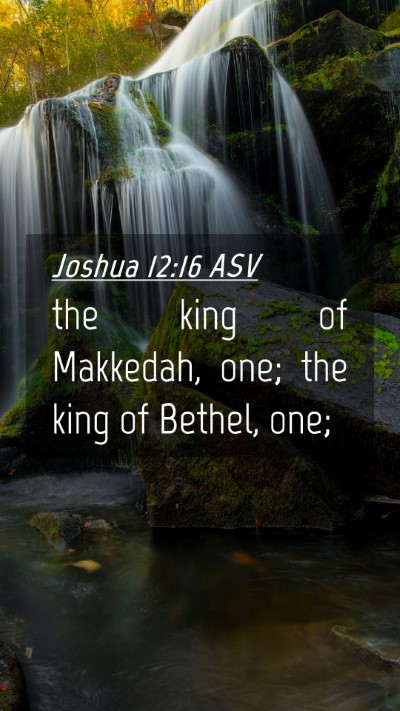Picture 04 - Joshua 12:16 ASV Mobile Phone Wallpaper - the king of Makkedah, one; the king of Bethel, - Mobile Bible Verse Wallpaper