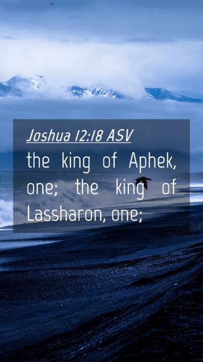 Picture 04 - Joshua 12:18 ASV Mobile Phone Wallpaper - the king of Aphek, one; the king of Lassharon, - Mobile Bible Verse Wallpaper