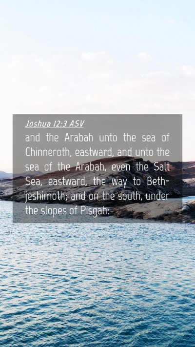 Picture 04 - Joshua 12:3 ASV Mobile Phone Wallpaper - and the Arabah unto the sea of Chinneroth, - Mobile Bible Verse Wallpaper