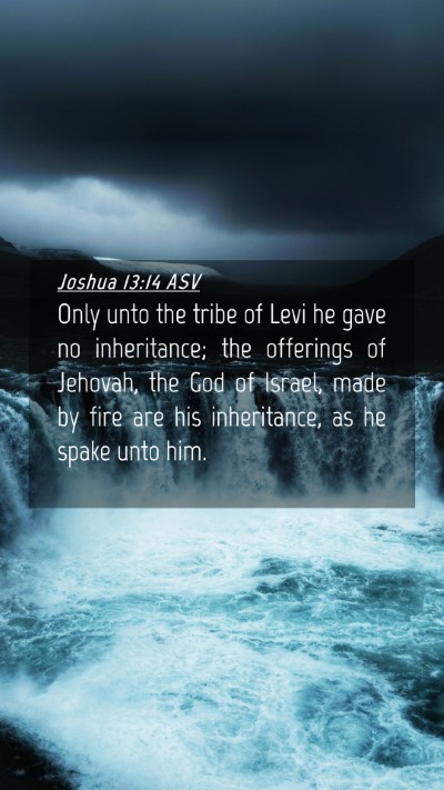 Picture 04 - Joshua 13:14 ASV Mobile Phone Wallpaper - Only unto the tribe of Levi he gave no - Mobile Bible Verse Wallpaper