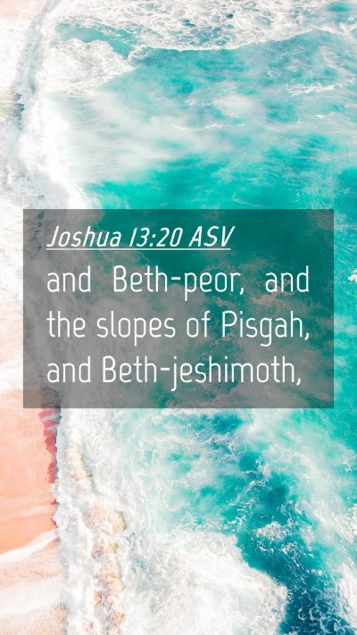 Picture 04 - Joshua 13:20 ASV Mobile Phone Wallpaper - and Beth-peor, and the slopes of Pisgah, and - Mobile Bible Verse Wallpaper