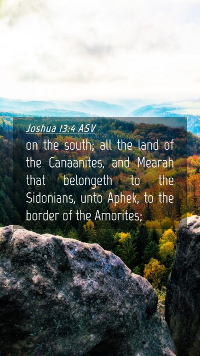 Picture 04 - Joshua 13:4 ASV Mobile Phone Wallpaper - on the south; all the land of the Canaanites, and - Mobile Bible Verse Wallpaper