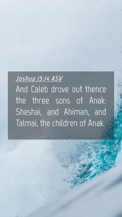 Picture 04 - Joshua 15:14 ASV Mobile Phone Wallpaper - And Caleb drove out thence the three sons of - Mobile Bible Verse Wallpaper