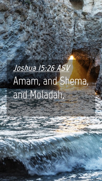 Picture 04 - Joshua 15:26 ASV Mobile Phone Wallpaper - Amam, and Shema, and - Mobile Bible Verse Wallpaper