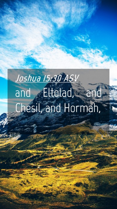 Picture 04 - Joshua 15:30 ASV Mobile Phone Wallpaper - and Eltolad, and Chesil, and - Mobile Bible Verse Wallpaper