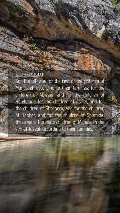 Picture 04 - Joshua 17:2 ASV Mobile Phone Wallpaper - So `the lot' was for the rest of the children of - Mobile Bible Verse Wallpaper