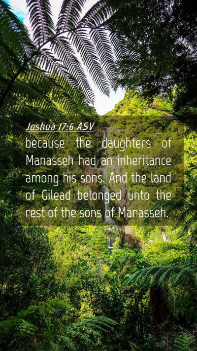 Picture 04 - Joshua 17:6 ASV Mobile Phone Wallpaper - because the daughters of Manasseh had an - Mobile Bible Verse Wallpaper