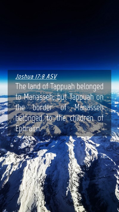 Picture 04 - Joshua 17:8 ASV Mobile Phone Wallpaper - The land of Tappuah belonged to Manasseh; but - Mobile Bible Verse Wallpaper