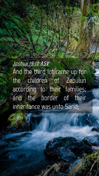 Picture 04 - Joshua 19:10 ASV Mobile Phone Wallpaper - And the third lot came up for the children of - Mobile Bible Verse Wallpaper
