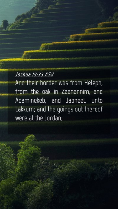 Picture 04 - Joshua 19:33 ASV Mobile Phone Wallpaper - And their border was from Heleph, from the oak in - Mobile Bible Verse Wallpaper