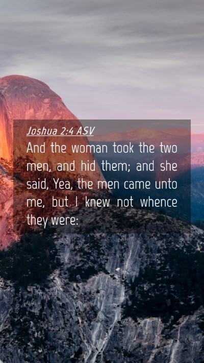 Picture 04 - Joshua 2:4 ASV Mobile Phone Wallpaper - And the woman took the two men, and hid them; and - Mobile Bible Verse Wallpaper