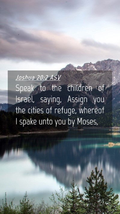 Picture 04 - Joshua 20:2 ASV Mobile Phone Wallpaper - Speak to the children of Israel, saying, Assign - Mobile Bible Verse Wallpaper