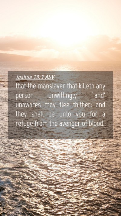Picture 04 - Joshua 20:3 ASV Mobile Phone Wallpaper - that the manslayer that killeth any person - Mobile Bible Verse Wallpaper