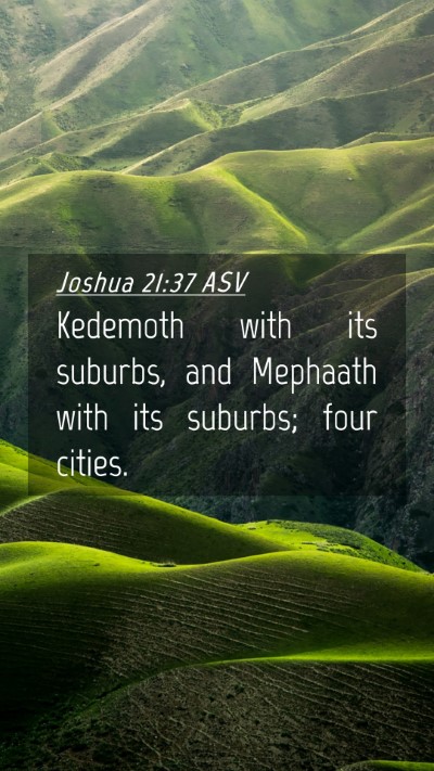 Picture 04 - Joshua 21:37 ASV Mobile Phone Wallpaper - Kedemoth with its suburbs, and Mephaath with its - Mobile Bible Verse Wallpaper