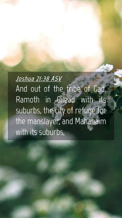 Picture 04 - Joshua 21:38 ASV Mobile Phone Wallpaper - And out of the tribe of Gad, Ramoth in Gilead - Mobile Bible Verse Wallpaper