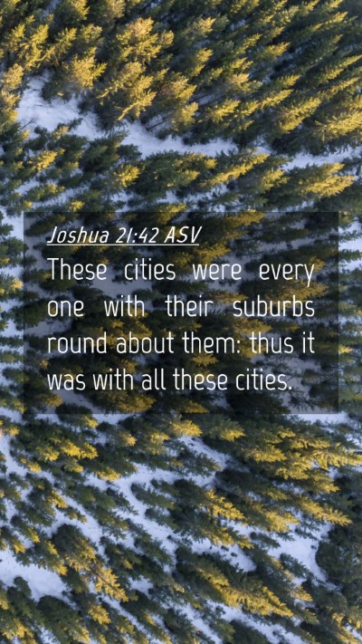 Picture 04 - Joshua 21:42 ASV Mobile Phone Wallpaper - These cities were every one with their suburbs - Mobile Bible Verse Wallpaper