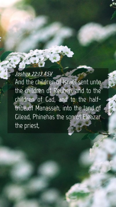Picture 04 - Joshua 22:13 ASV Mobile Phone Wallpaper - And the children of Israel sent unto the children - Mobile Bible Verse Wallpaper