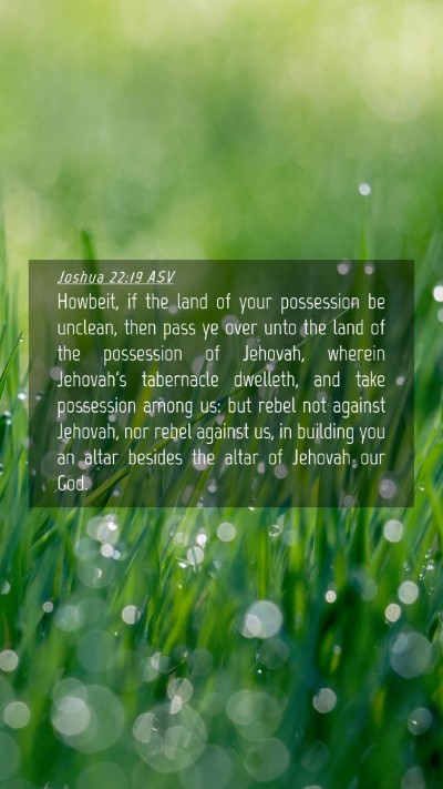 Picture 04 - Joshua 22:19 ASV Mobile Phone Wallpaper - Howbeit, if the land of your possession be - Mobile Bible Verse Wallpaper