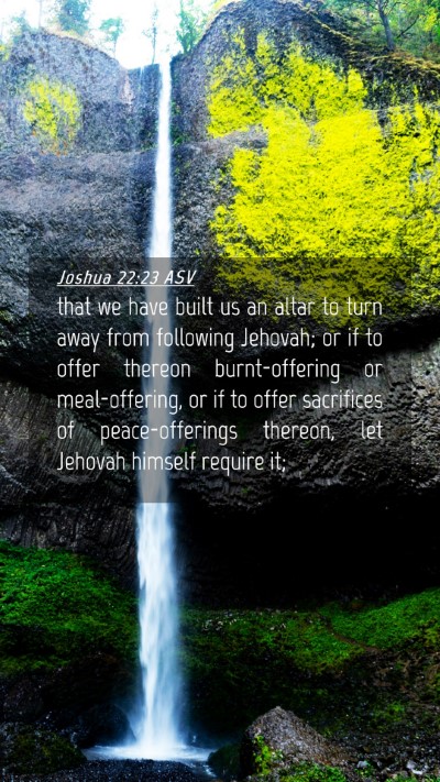 Picture 04 - Joshua 22:23 ASV Mobile Phone Wallpaper - that we have built us an altar to turn away from - Mobile Bible Verse Wallpaper