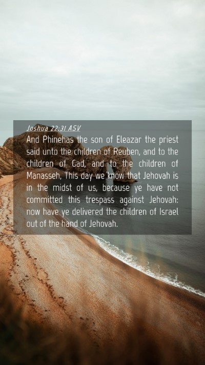 Picture 04 - Joshua 22:31 ASV Mobile Phone Wallpaper - And Phinehas the son of Eleazar the priest said - Mobile Bible Verse Wallpaper