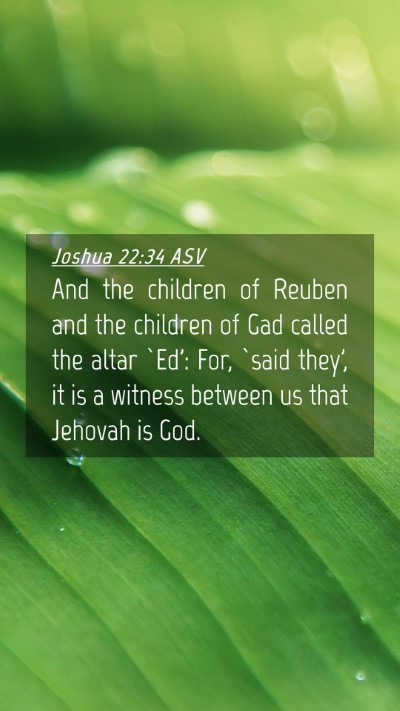 Picture 04 - Joshua 22:34 ASV Mobile Phone Wallpaper - And the children of Reuben and the children of - Mobile Bible Verse Wallpaper