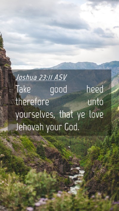 Picture 04 - Joshua 23:11 ASV Mobile Phone Wallpaper - Take good heed therefore unto yourselves, that ye - Mobile Bible Verse Wallpaper